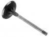 Exhaust Valve:046 109 611 F