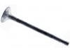 Valvula de escape Exhaust Valve:036 109 611 K